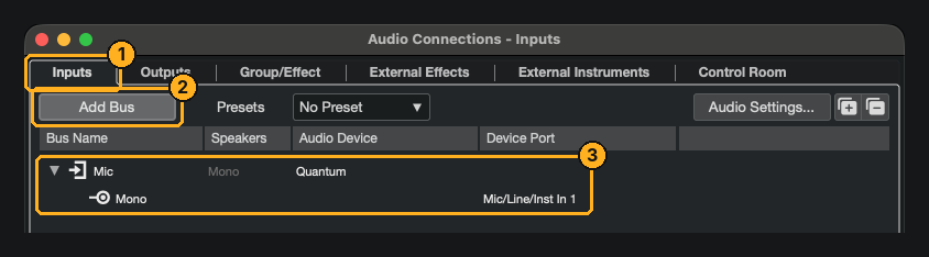 Audio Connections, Inputs tab, with a Mono bus named Mic on the interface's input 1