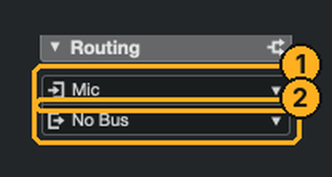 Routing section showing input Mic and output No Bus