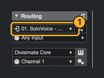Divisimate Core track's Input Routing set to 01. SoloVoice - MIDI Out