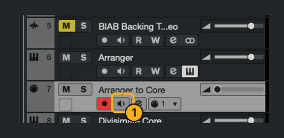 Arranger to Core MIDI track with Monitor lit